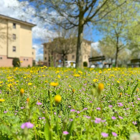 MezzolaraNel Cuore Della Natura - Parcheggio Gratuito - Wi-Fi公寓 外观 照片