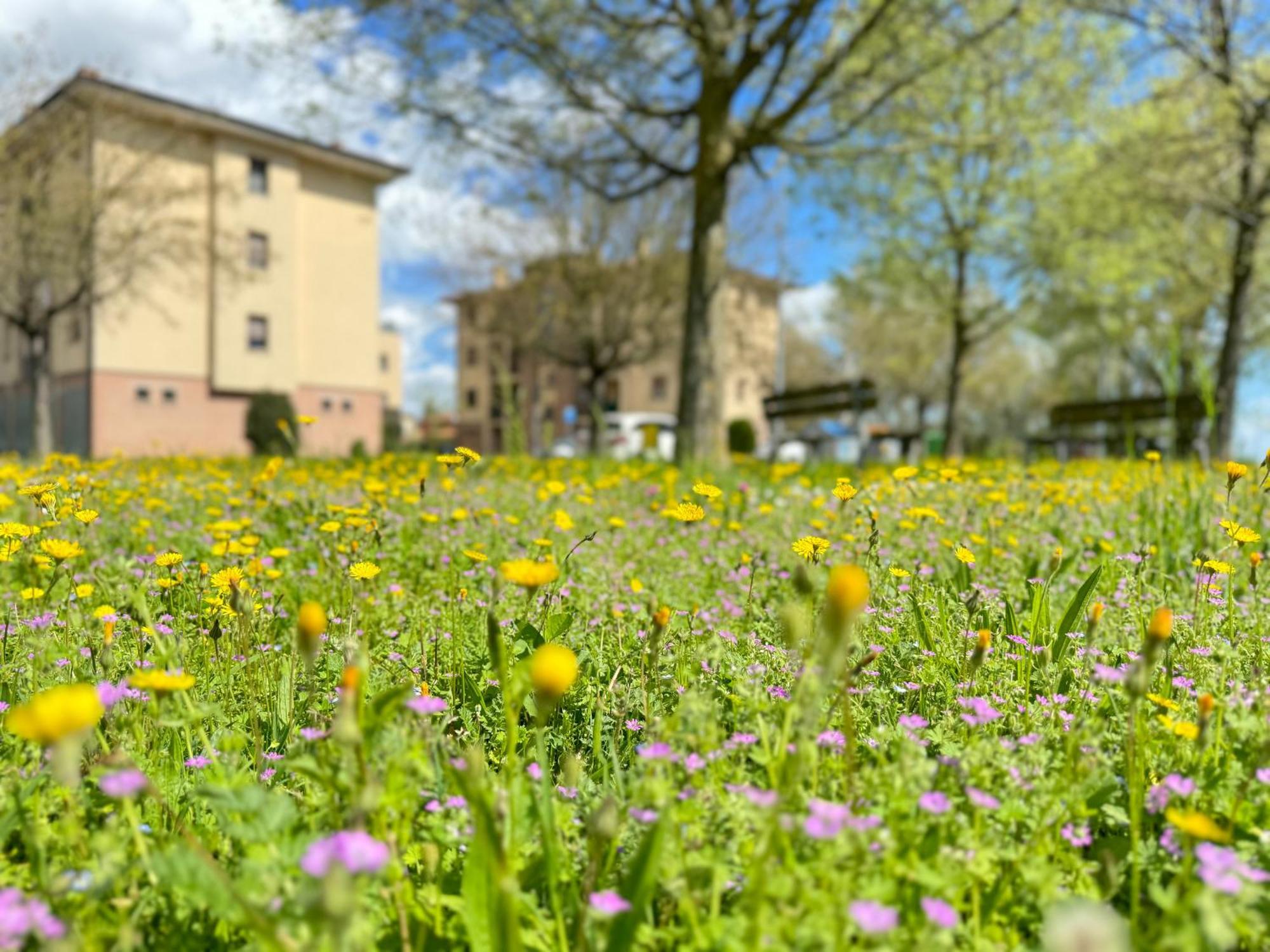 MezzolaraNel Cuore Della Natura - Parcheggio Gratuito - Wi-Fi公寓 外观 照片
