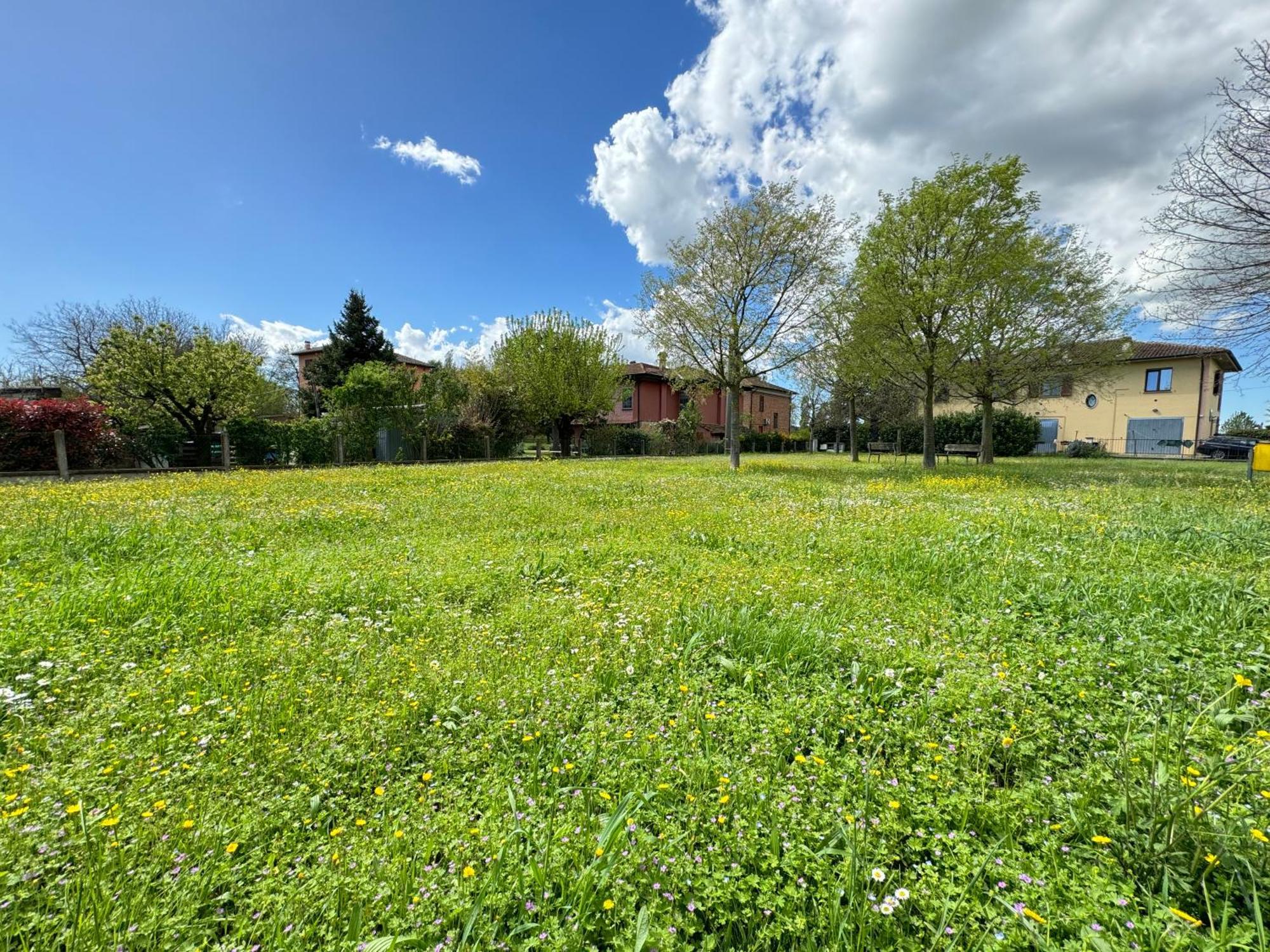 MezzolaraNel Cuore Della Natura - Parcheggio Gratuito - Wi-Fi公寓 外观 照片