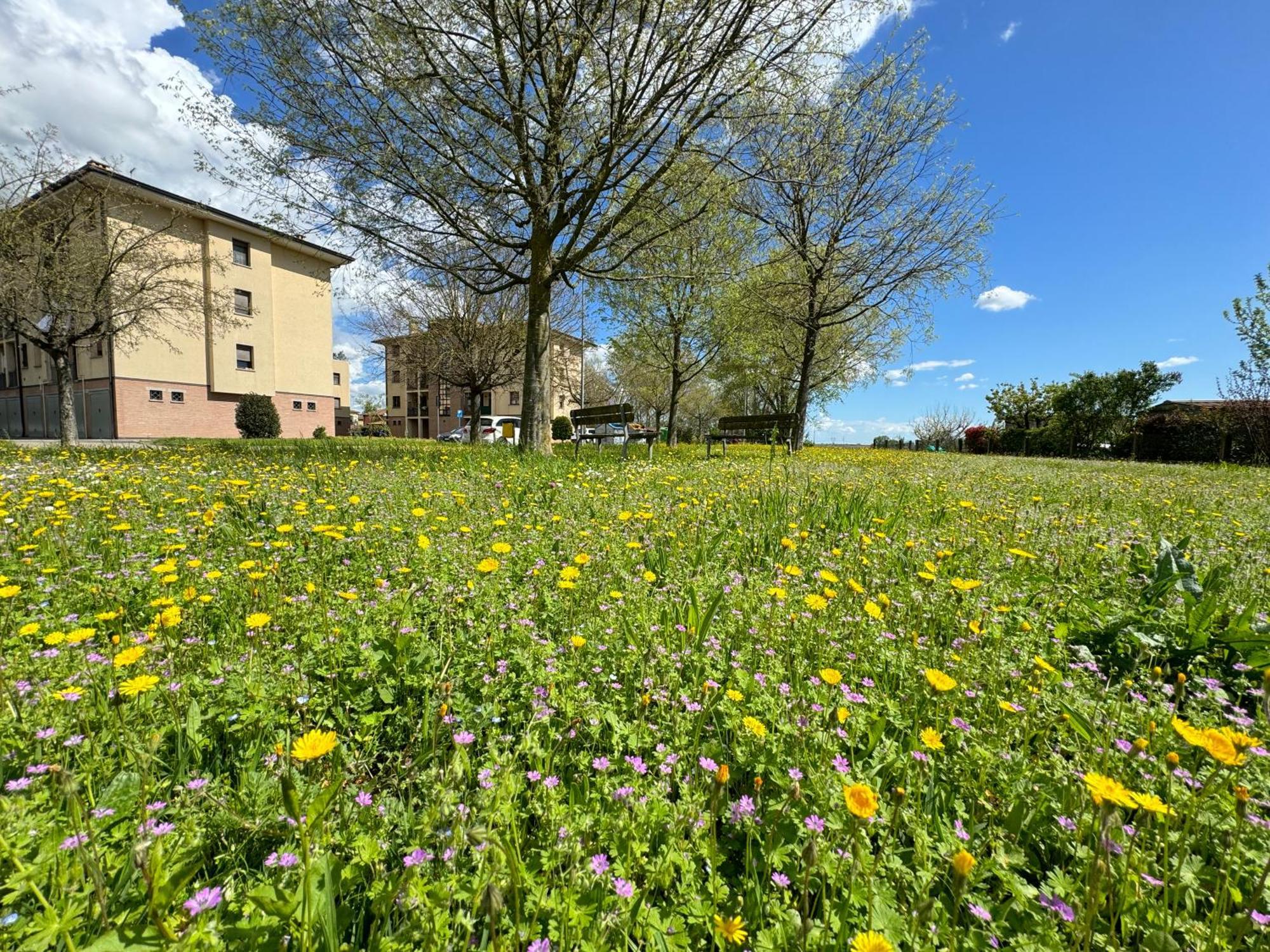 MezzolaraNel Cuore Della Natura - Parcheggio Gratuito - Wi-Fi公寓 外观 照片